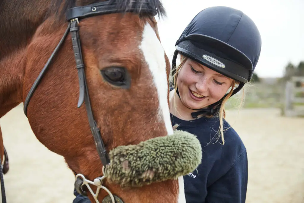 Equine student with horse