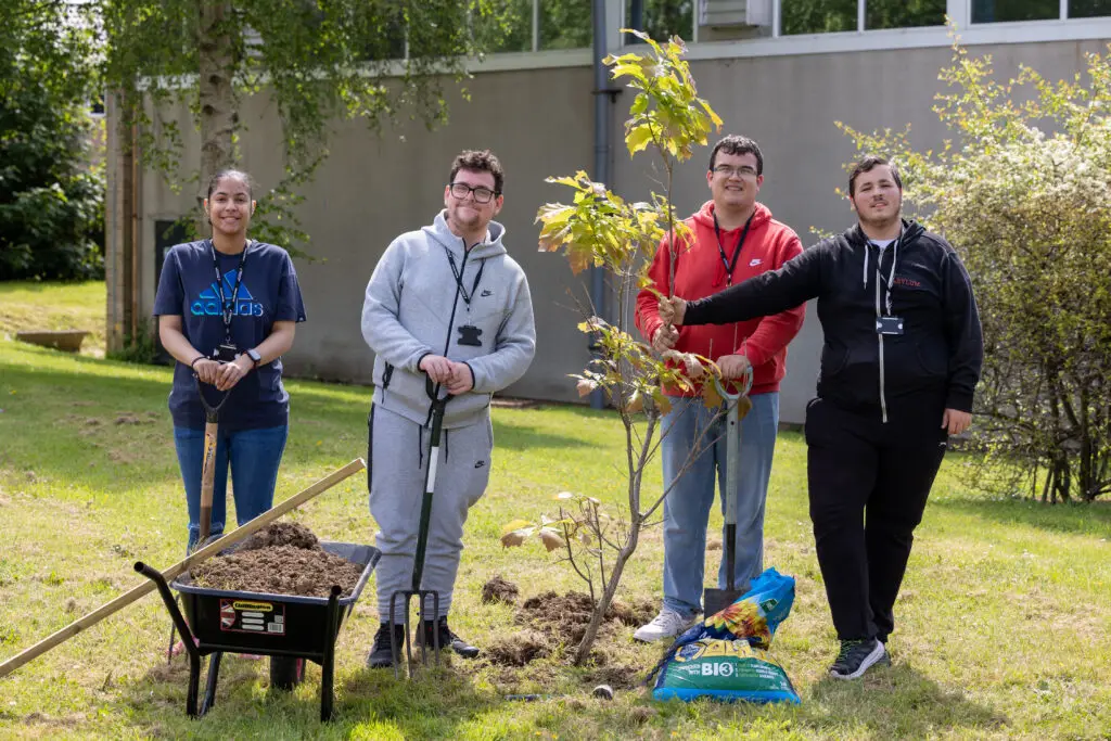 Four students stand around a newly planted tree with garden tools and a wheelbarrow on a grassy area at the college.