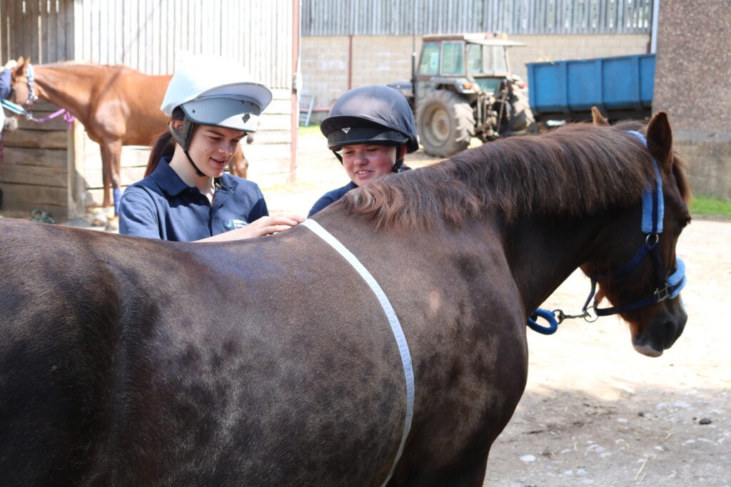 Two equine students measure a horse’s girth with a measuring tape during a stable-side session.