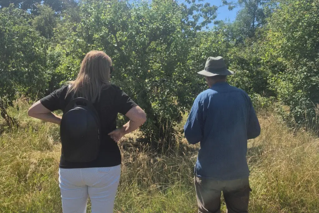 Two people walking through a vineyard surrounded by rows of grape vines.