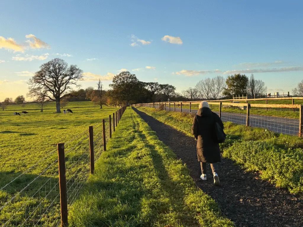 A student walks along a newly laid rural footpath at Lackham campus, bordered by fields and fencing on a bright autumn afternoon.