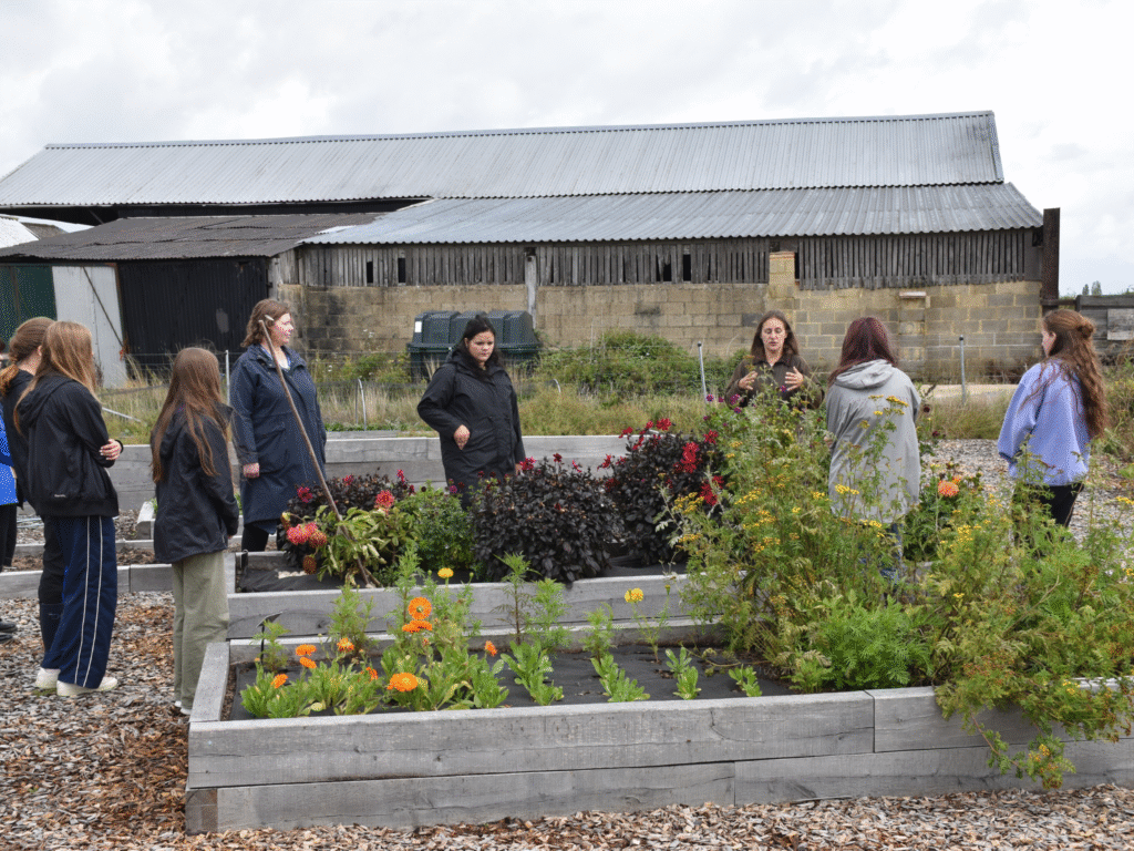 Students gather in an organic dye garden, listening to a guide explain plants used for natural dyes.