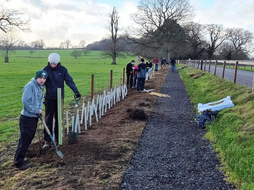 Students planting young hedgerow saplings along a fence line beside a new pathway at Lackham campus.