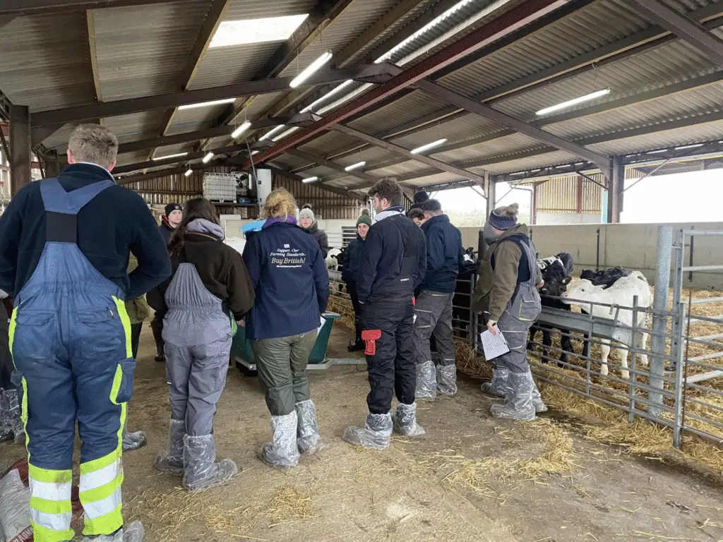 Agriculture students in protective overalls gather in a cattle shed during a farm consultancy workshop at Lackham campus.