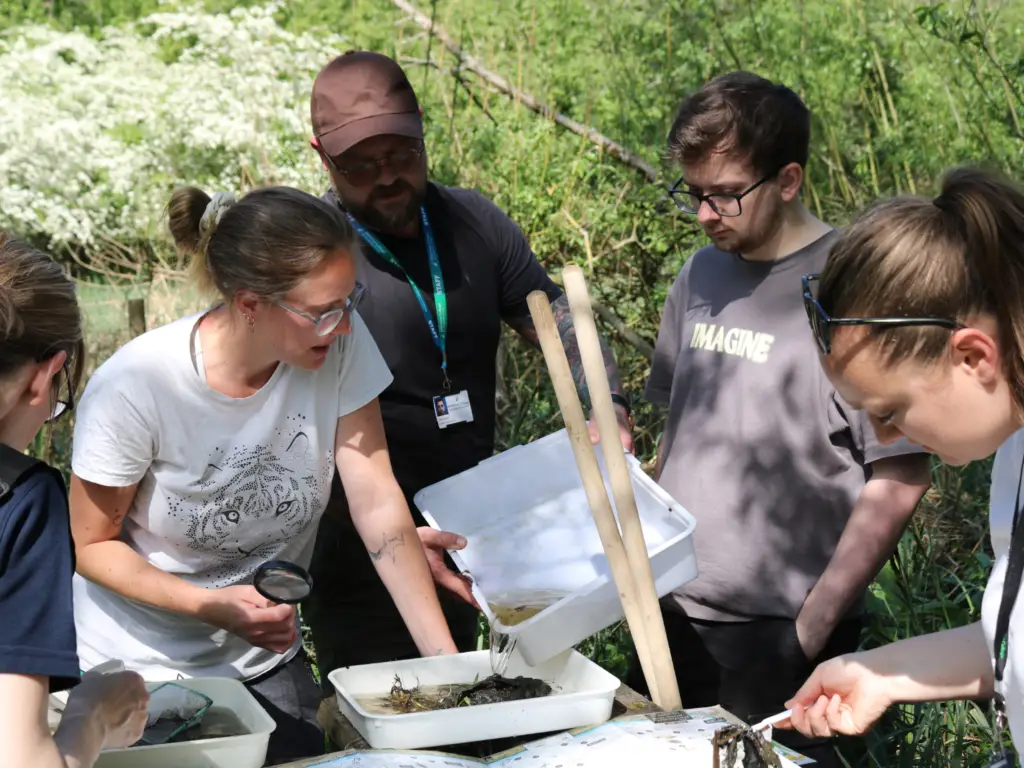 students on a pond practical 