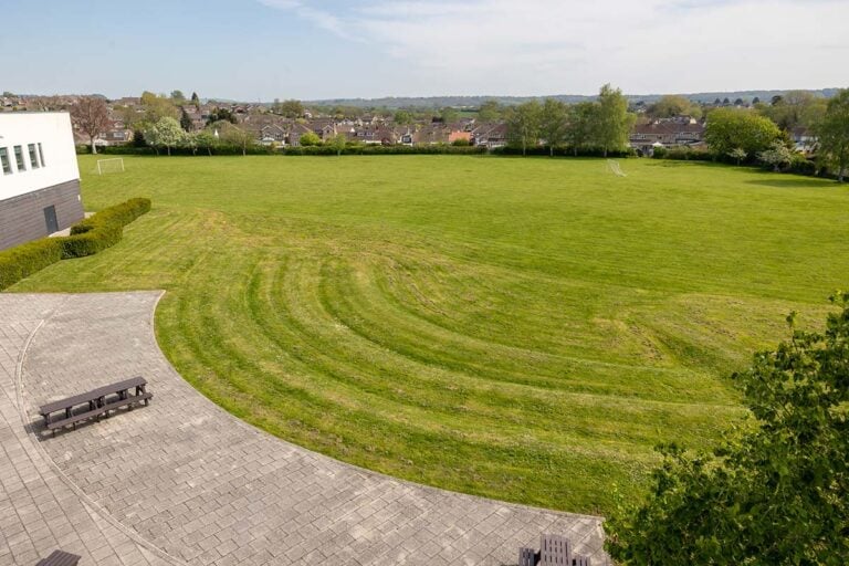 Chippenham field