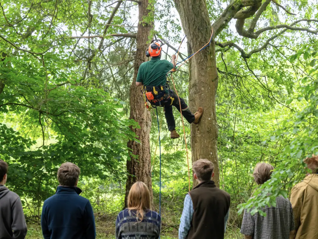 Students watching a staff member install a bat box