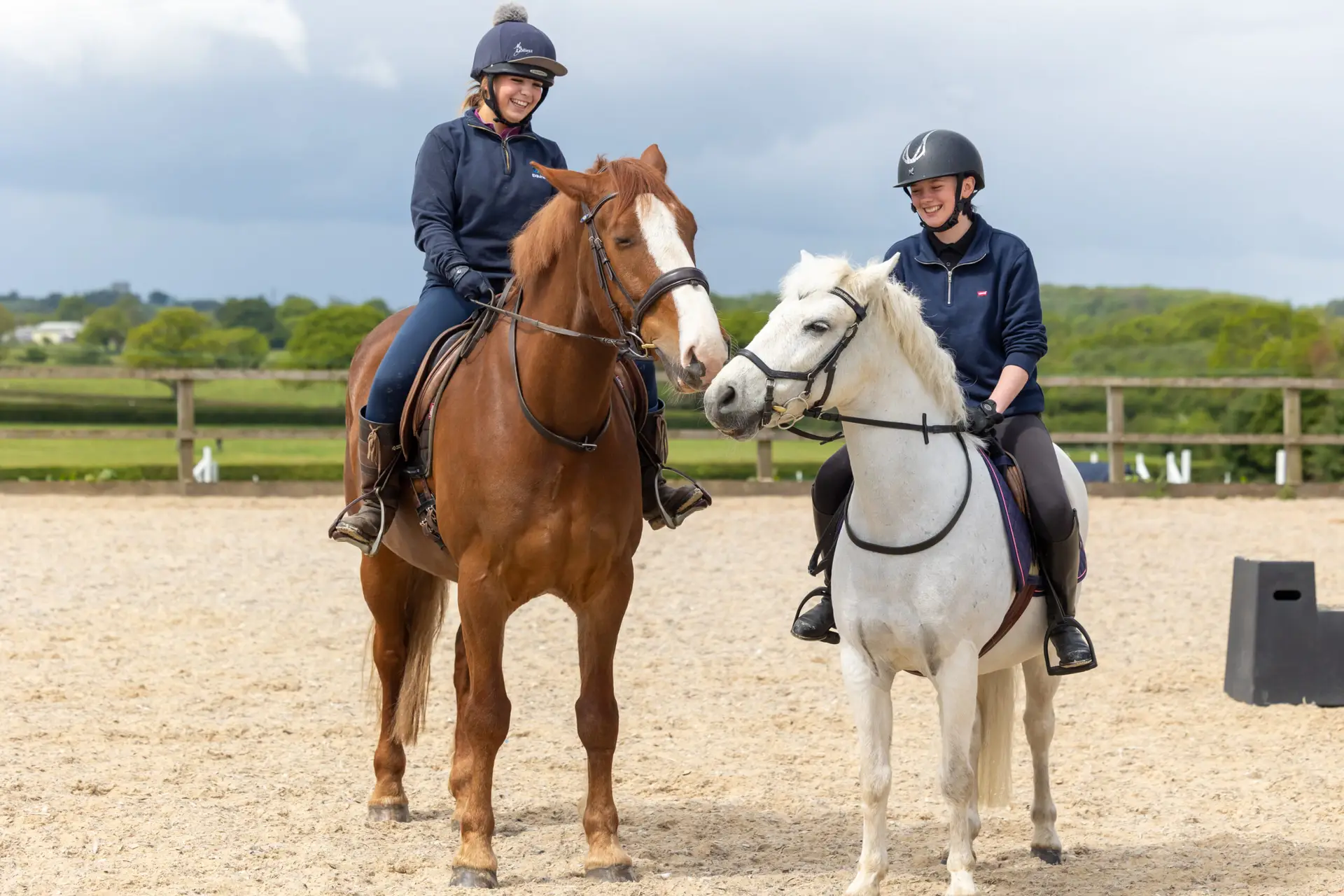 equine students